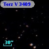 Terz V 3409