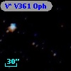 V* V361 Oph