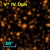 V* IV Oph