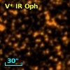 V* IR Oph