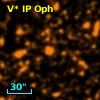 V* IP Oph