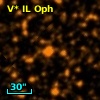 V* IL Oph