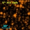 V* HX Oph