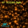 V* V2160 Oph