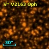 V* V2163 Oph