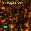 V* V2165 Oph