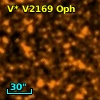 V* V2169 Oph
