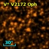 V* V2172 Oph