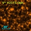 V* V2173 Oph