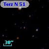 Terz N   51