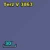 Terz V 3863