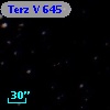 Terz V  645