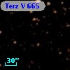 Terz V  665