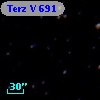 Terz V  691