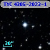 TYC 4305-2023-1