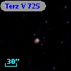 Terz V  725