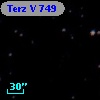 Terz V  749
