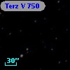 Terz V  750