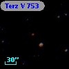 Terz V  753