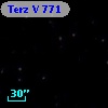 Terz V  771
