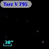 Terz V  795