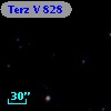 Terz V  828