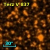 Terz V  837