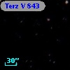 Terz V  843