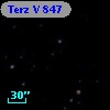 Terz V  847