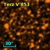Terz V  853