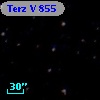 Terz V  855