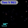 Terz V  861