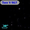 Terz V  867