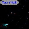 Terz V  816