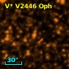 V* V2446 Oph
