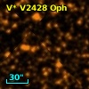 V* V2428 Oph