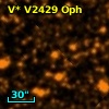 V* V2429 Oph