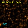 V* V2431 Oph