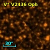 V* V2436 Oph