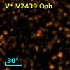 V* V2439 Oph