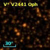 V* V2441 Oph