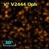 V* V2444 Oph