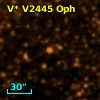 V* V2445 Oph