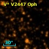 V* V2447 Oph