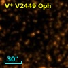 V* V2449 Oph