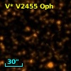 V* V2455 Oph