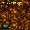 V* V2460 Oph