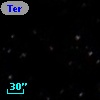 Terz V 4206