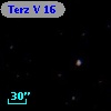Terz V   16