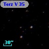 Terz V   35
